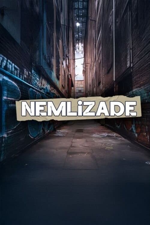 Nemlizade